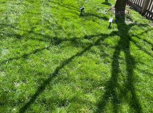 Troy J.'s lawn care services service result