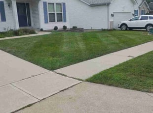 Jeff w.'s turf care service result