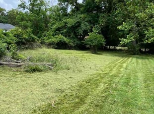 Josephine V.'s lawn care services service result