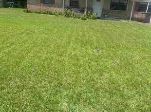 Ruth L.'s lawn care service result