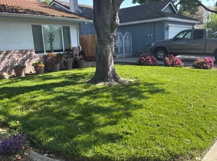 Wally T.'s grass maintenance service result