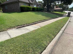 Deloris G.'s turf maintenance service result