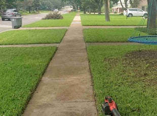 George M.'s grass cutting service result