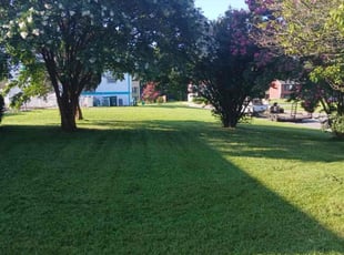 Mary J.'s grass cutting service result