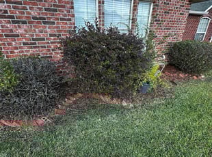 Christopher L.'s Flower Bed Weeding service result