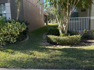 Taylor D.'s Bush Trimming service result