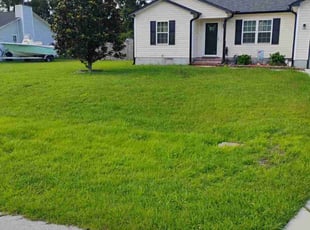 Andrea P.'s lawn maintenance service result