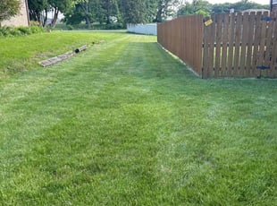 Ron C.'s grass maintenance service result