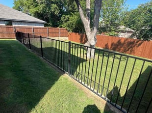 Kris S.'s lawn service service result