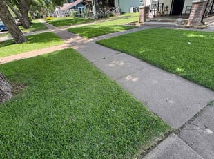 Adam H.'s turf maintenance service result