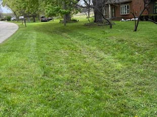Sabrina T.'s lawn maintenance service result