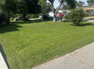 Rachel S.'s turf maintenance service result