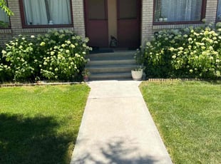 Sharon P.'s lawn care service result