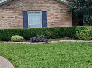 Wanda M.'s Bush Trimming service result