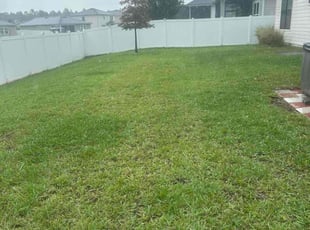 Esther G.'s grass maintenance service result