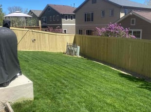 Carrie F.'s lawn service service result
