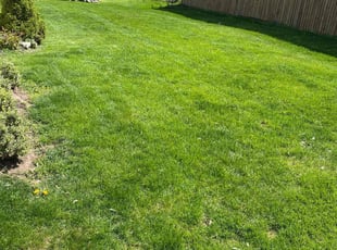 Ronald S.'s yard maintenance service result