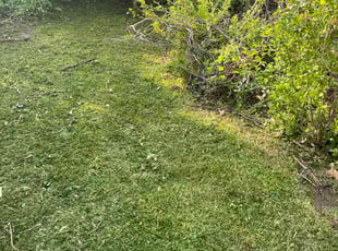 Laurie S.'s lawn care service result