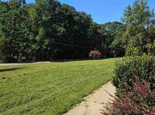 Ngan L.'s turf care service result