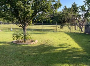 Valerie C.'s lawn care services service result