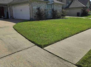 Donney R.'s lawn care service result