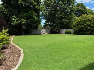 Bridget B.'s turf care service result