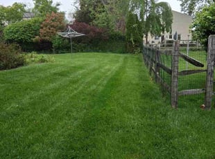 Terrance O.'s lawn care service result