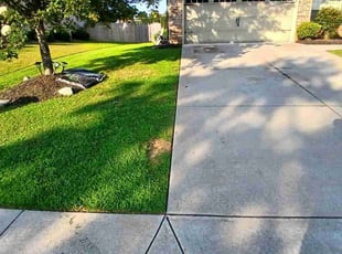 Diana L.'s grass cutting service result