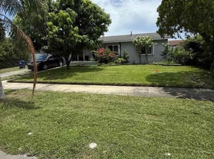 Kenneth O.'s lawn maintenance service result