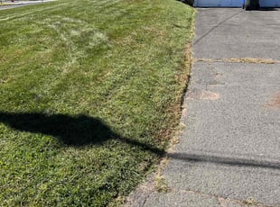 William T.'s lawn maintenance service result