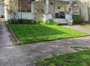 Ken H.'s grass maintenance service result