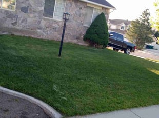 William T.'s grass maintenance service result