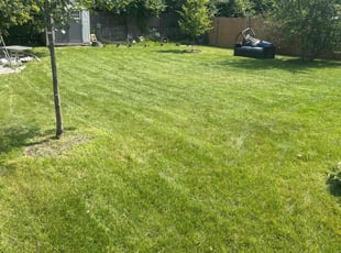 Sandra F.'s gardening service service result