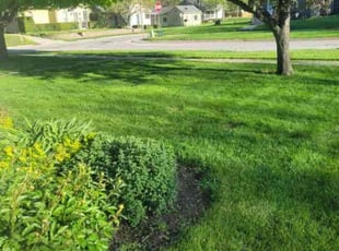 Christine M.'s landscaping services service result
