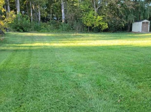 Donald P.'s lawn care service result