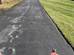 Megan F.'s grass cutting service result