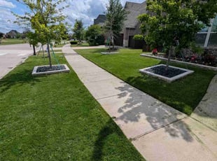 Shanté M.'s lawn maintenance service result