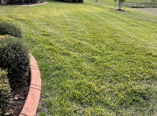 Antoine P.'s lawn care service result