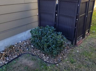 Kari G.'s Bush Trimming service result