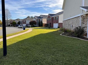 Denise H.'s grass cutting service result