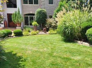 Desirae W.'s lawn care service result
