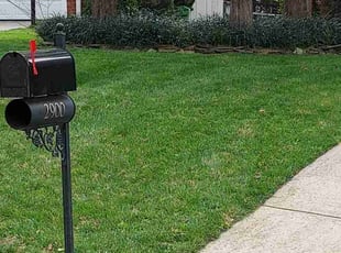 Nick B.'s grass cutting service result