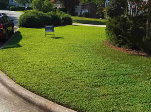 Mellissa R.'s turf care service result