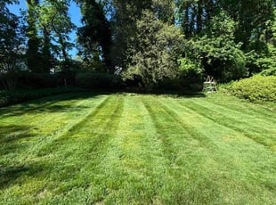 Lashel A.'s lawn care services service result