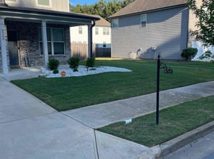 Brett G.'s turf care service result
