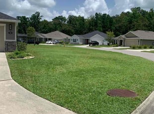 Austin T.'s grass maintenance service result