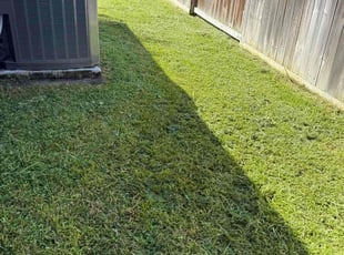 Moe M.'s lawn service service result