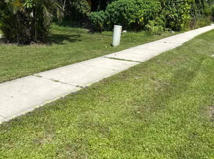 Lucimara N.'s lawn care services service result