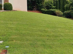 Linda C.'s lawn maintenance service result