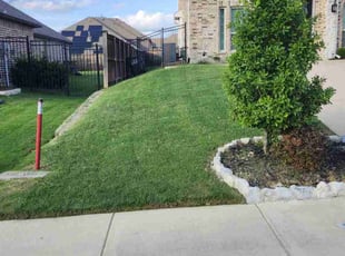 Tyler G.'s turf maintenance service result